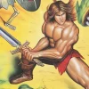 Rastan the Barbarian Grasping a Sword on the Video Game Artwork.
